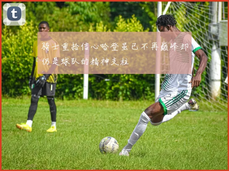 骑士重拾信心哈登虽已不再巅峰却仍是球队的精神支柱