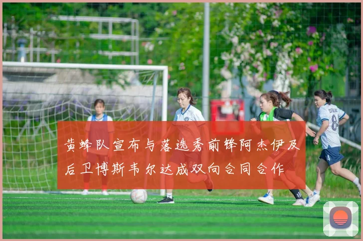 黄蜂队宣布与落选秀前锋阿杰伊及后卫博斯韦尔达成双向合同合作